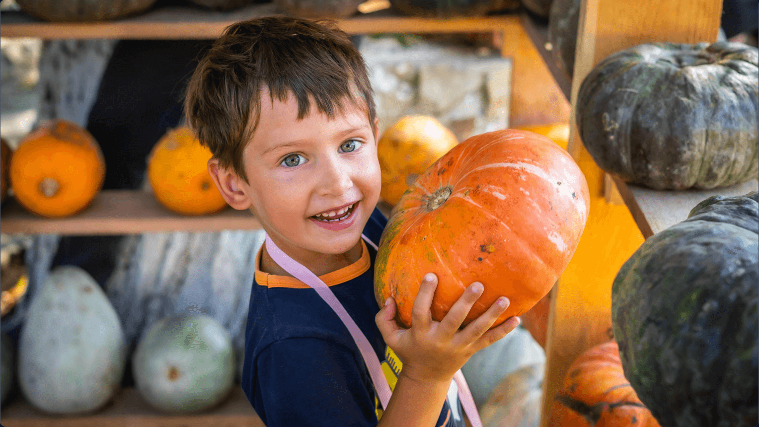 Harvest Season in Ontario: Pumpkin Patches & Fall Markets Around the GTA